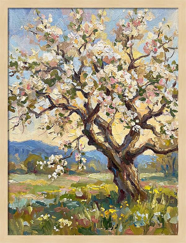 Blossoming Tree Under Sunlight