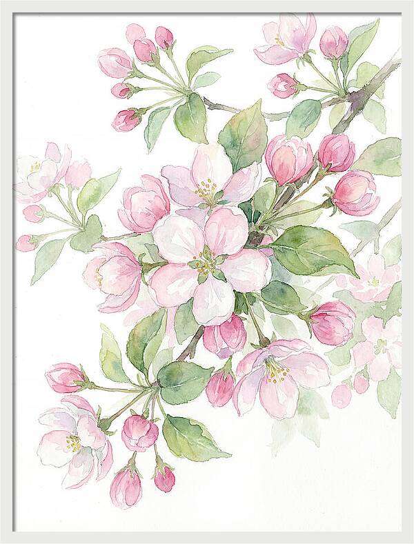 Blossoms In Bloom