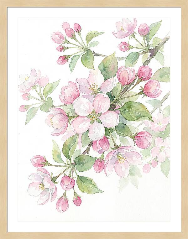 Blossoms In Bloom