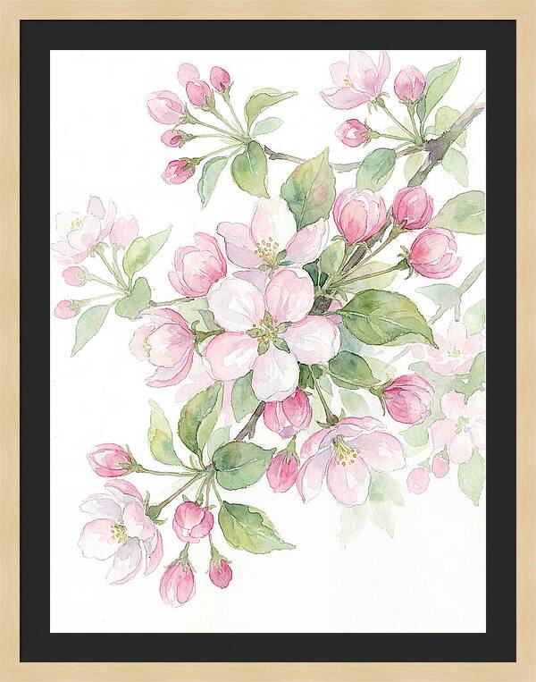 Blossoms In Bloom
