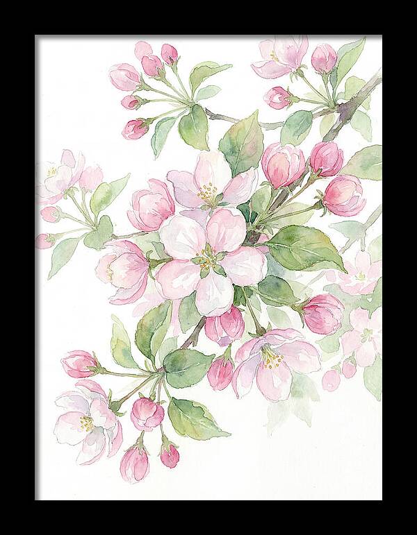 Blossoms In Bloom