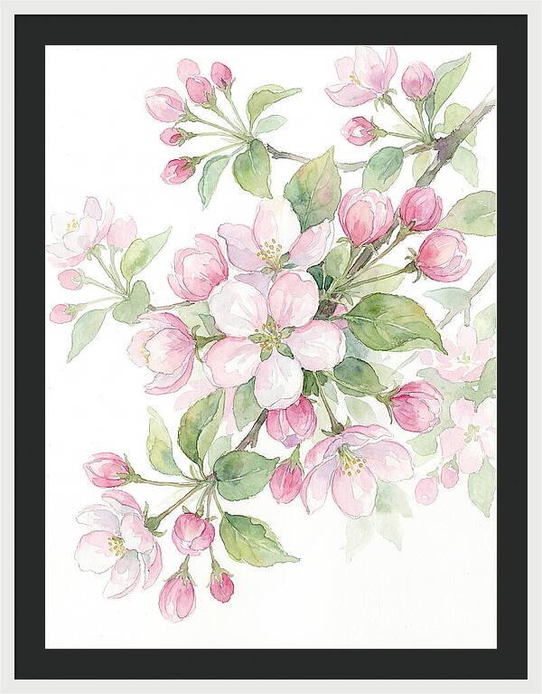 Blossoms In Bloom