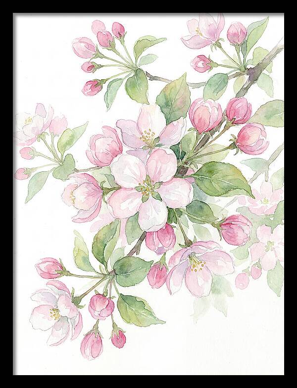 Blossoms In Bloom
