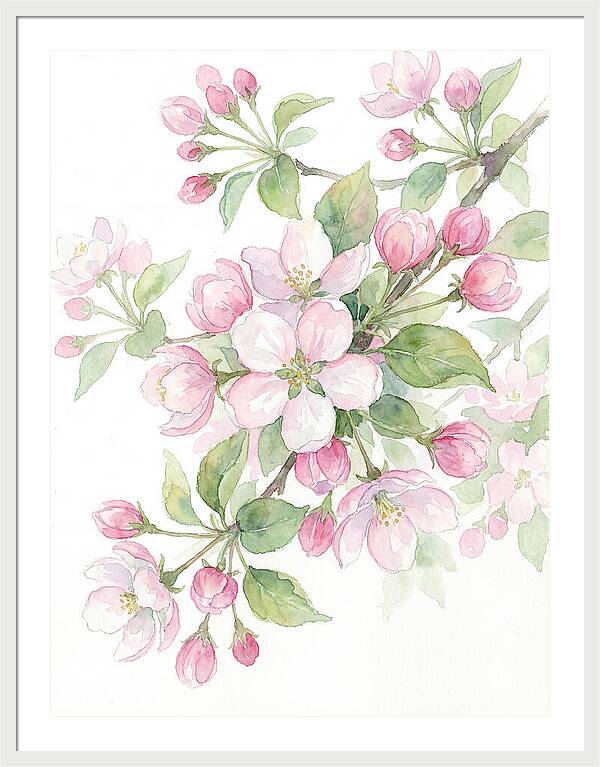 Blossoms In Bloom