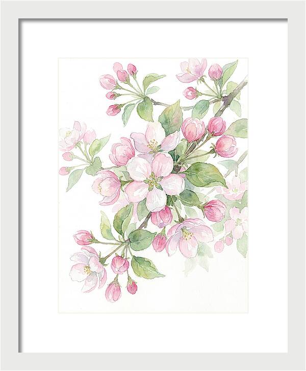 Blossoms In Bloom