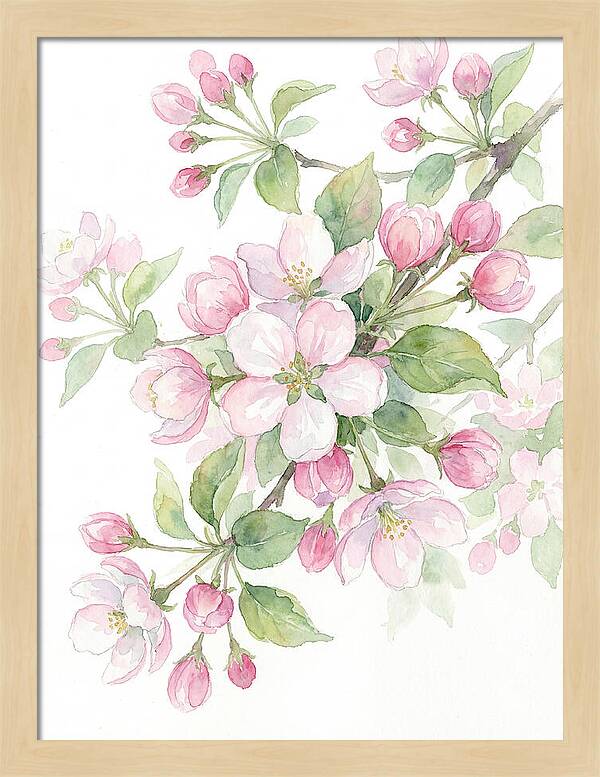 Blossoms In Bloom