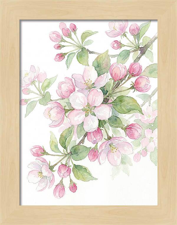 Blossoms In Bloom