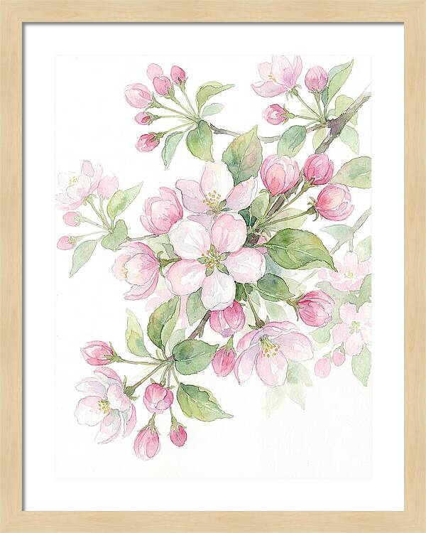 Blossoms In Bloom