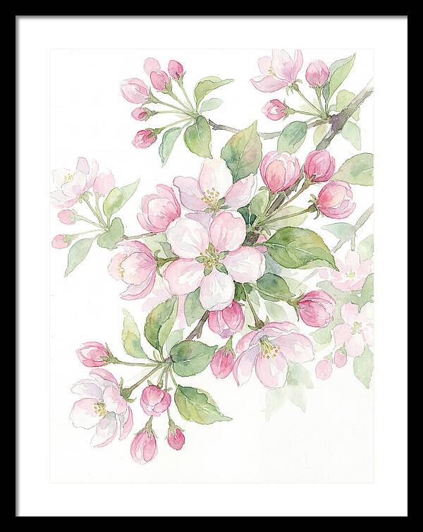 Blossoms In Bloom
