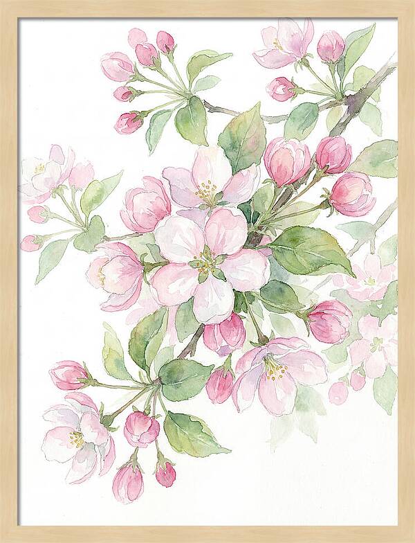 Blossoms In Bloom