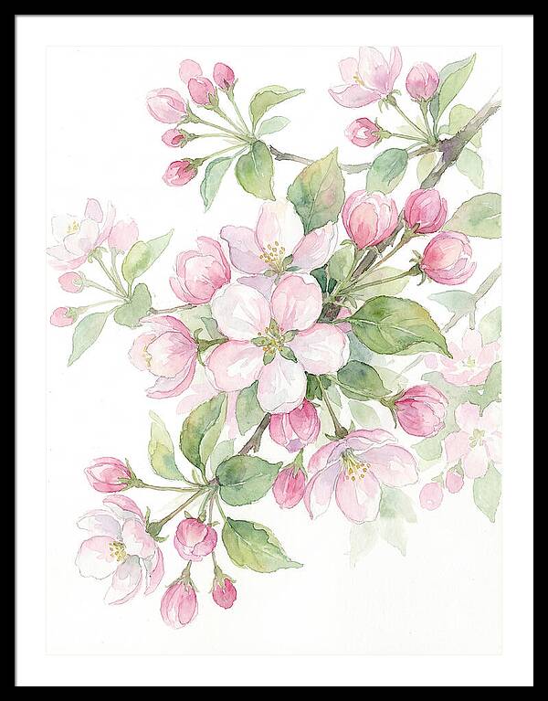 Blossoms In Bloom