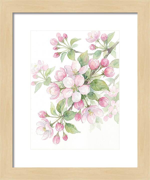 Blossoms In Bloom