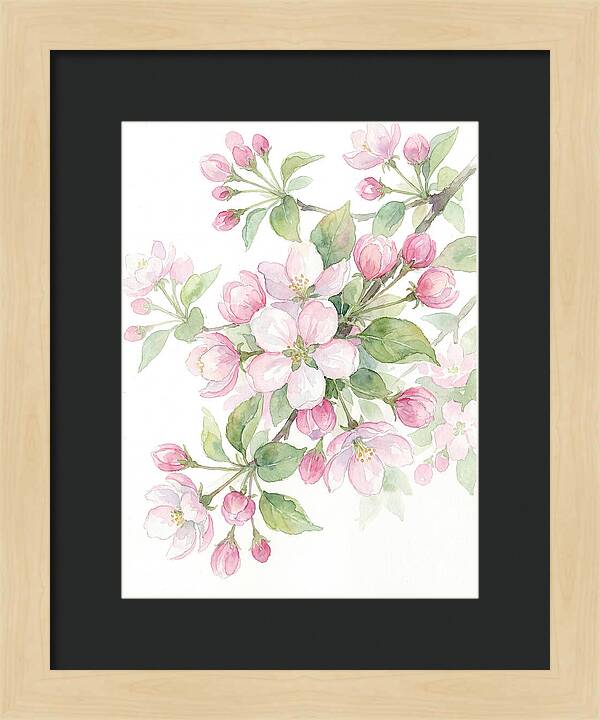Blossoms In Bloom