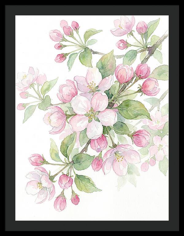 Blossoms In Bloom
