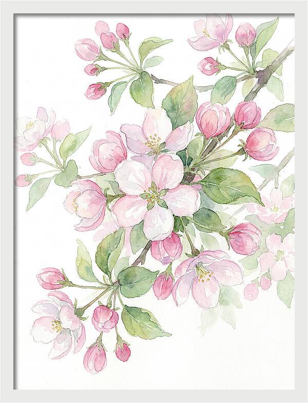 Blossoms In Bloom