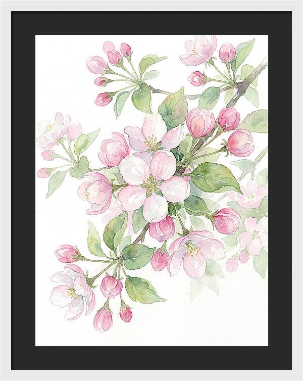 Blossoms In Bloom