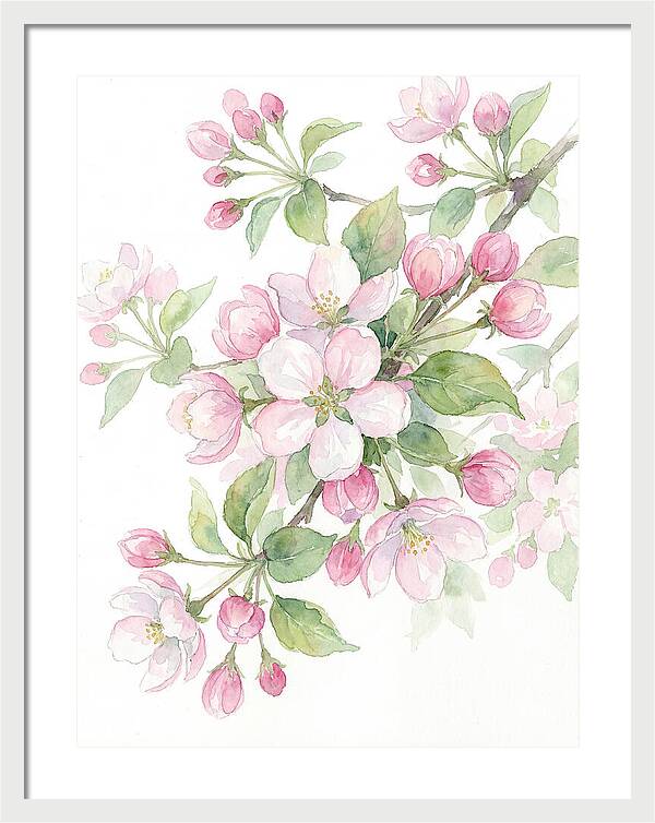 Blossoms In Bloom