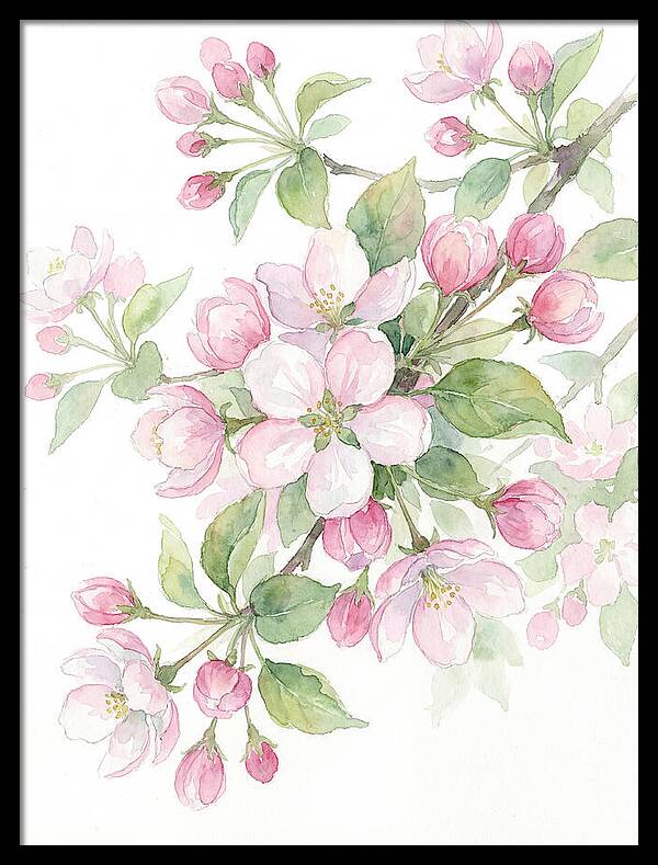 Blossoms In Bloom