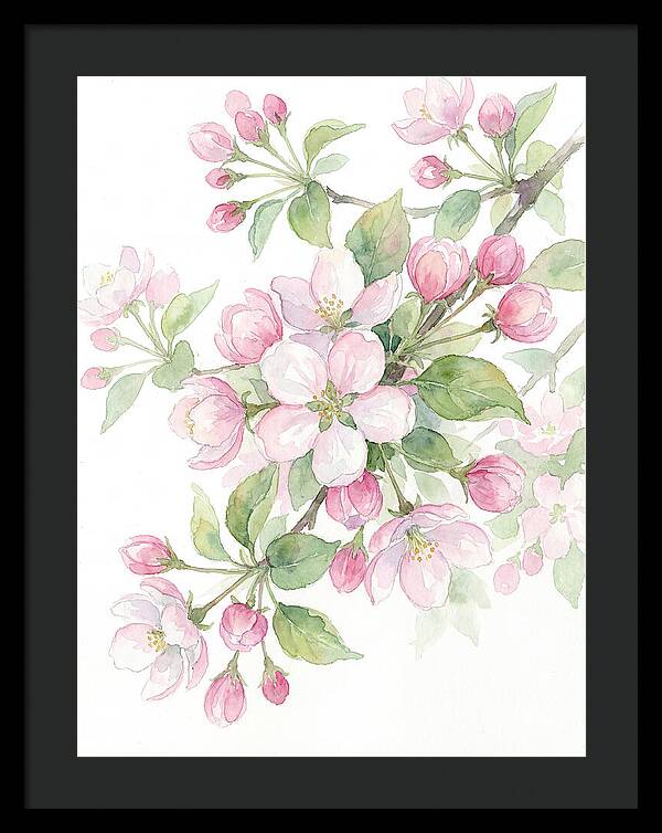 Blossoms In Bloom