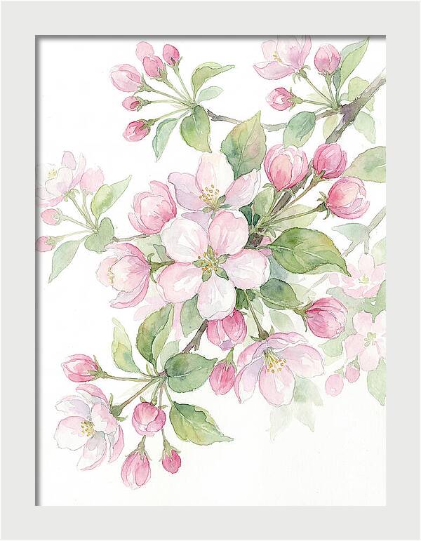 Blossoms In Bloom