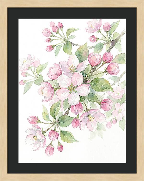 Blossoms In Bloom