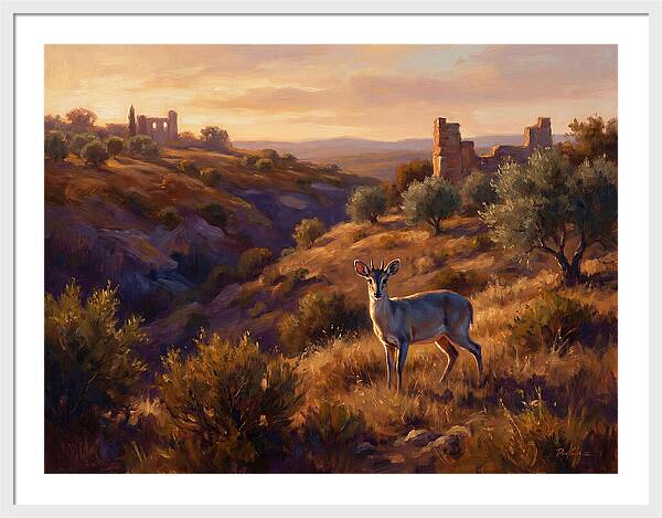 Blue Duiker In Mediterranean Landscape