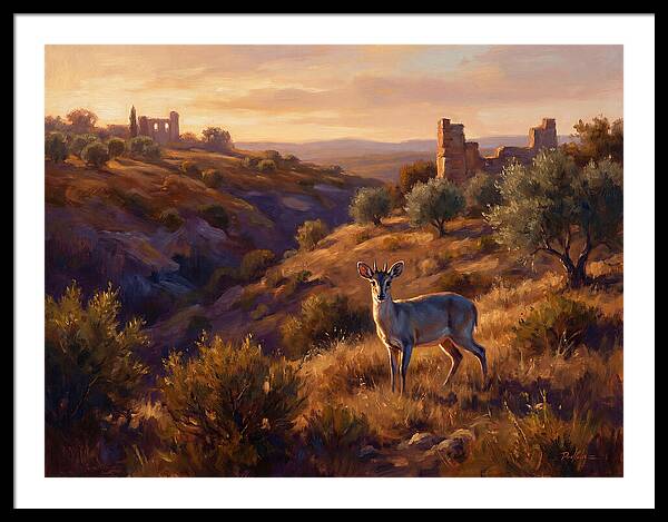 Blue Duiker In Mediterranean Landscape