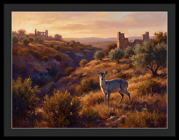 Blue Duiker In Mediterranean Landscape