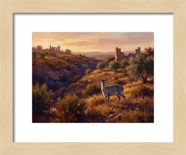 Blue Duiker In Mediterranean Landscape