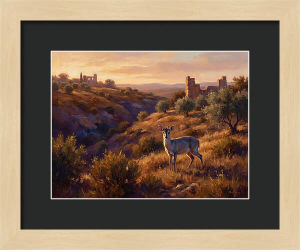 Blue Duiker In Mediterranean Landscape