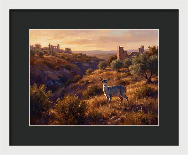 Blue Duiker In Mediterranean Landscape