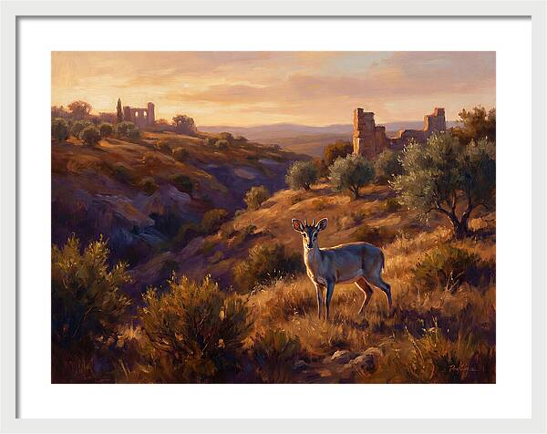 Blue Duiker In Mediterranean Landscape