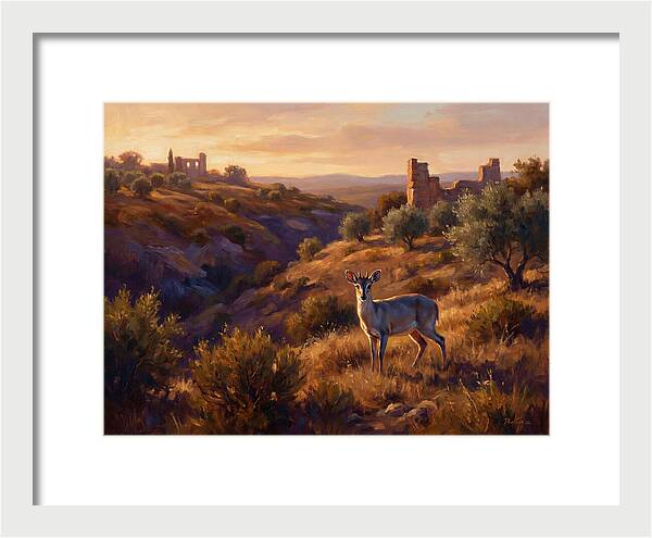 Blue Duiker In Mediterranean Landscape