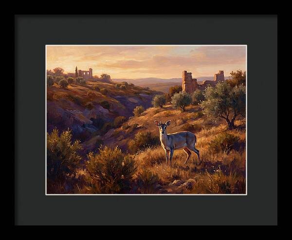 Blue Duiker In Mediterranean Landscape