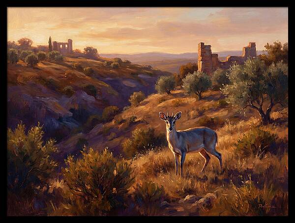 Blue Duiker In Mediterranean Landscape