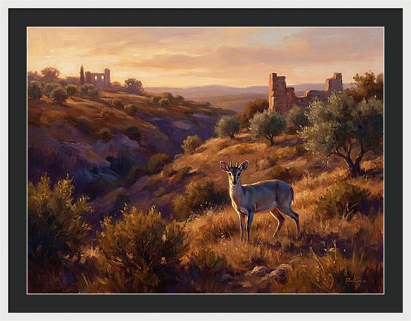 Blue Duiker In Mediterranean Landscape