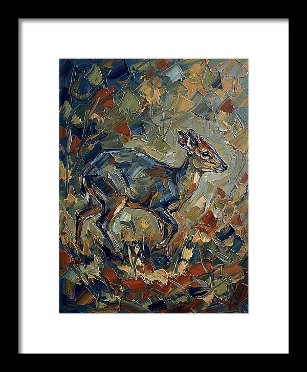 Blue Duiker In Nature