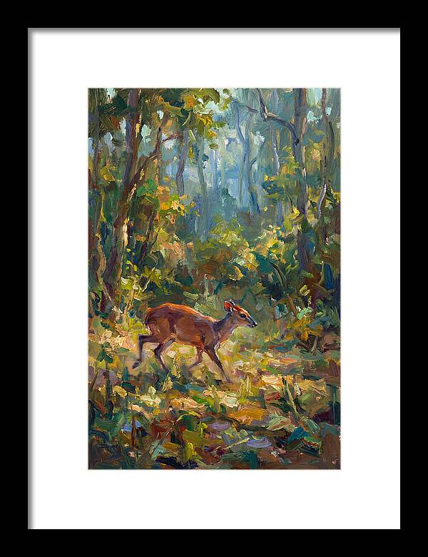 Blue Duiker In The Forest