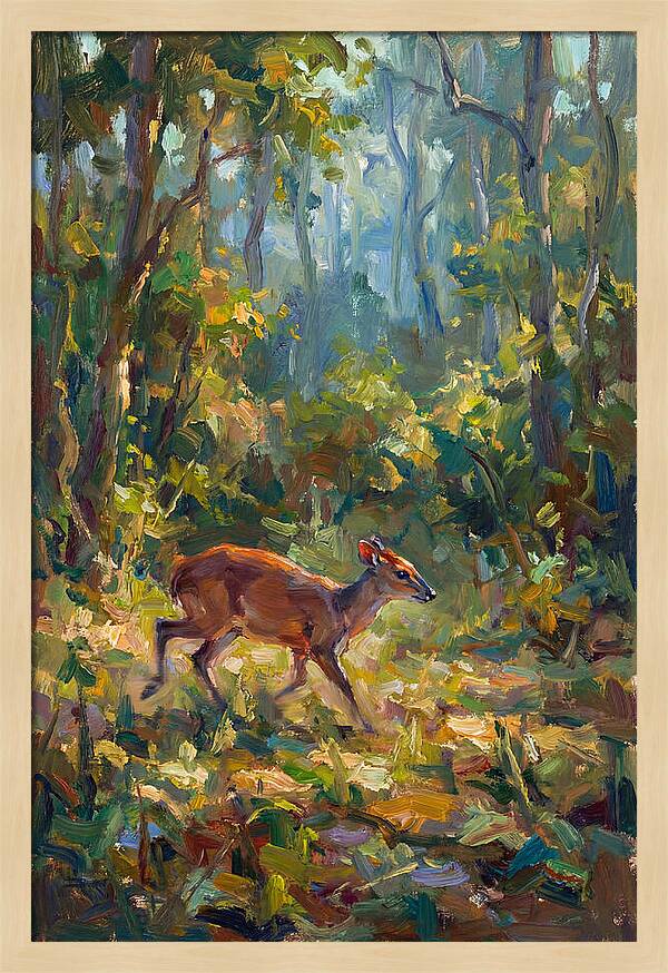 Blue Duiker In The Forest