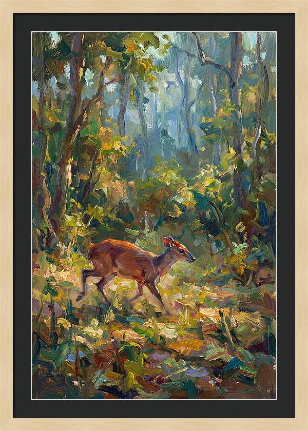 Blue Duiker In The Forest