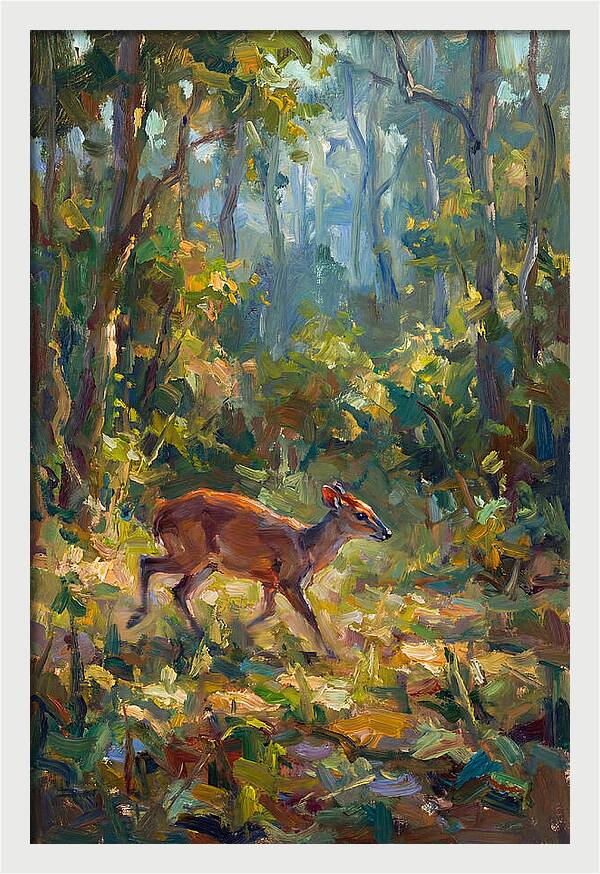 Blue Duiker In The Forest