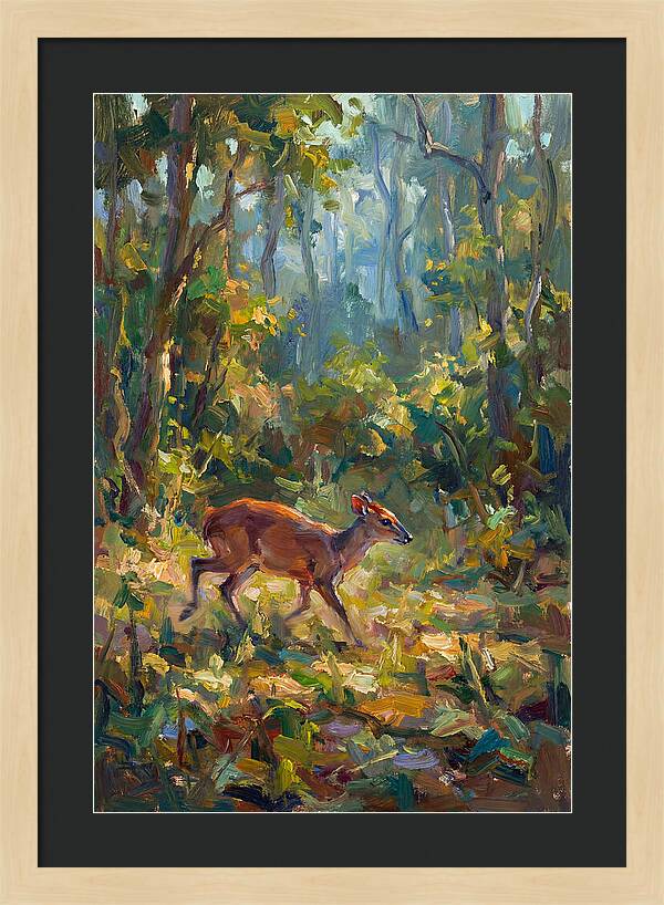 Blue Duiker In The Forest