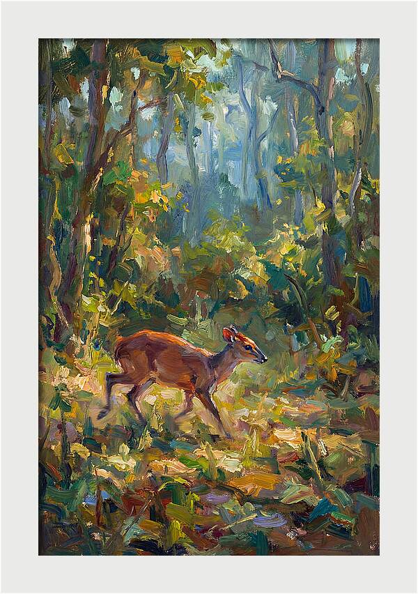 Blue Duiker In The Forest