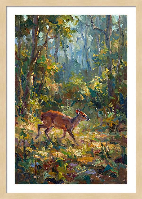 Blue Duiker In The Forest