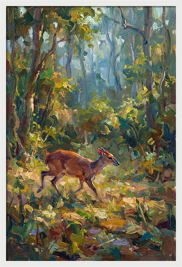 Blue Duiker In The Forest