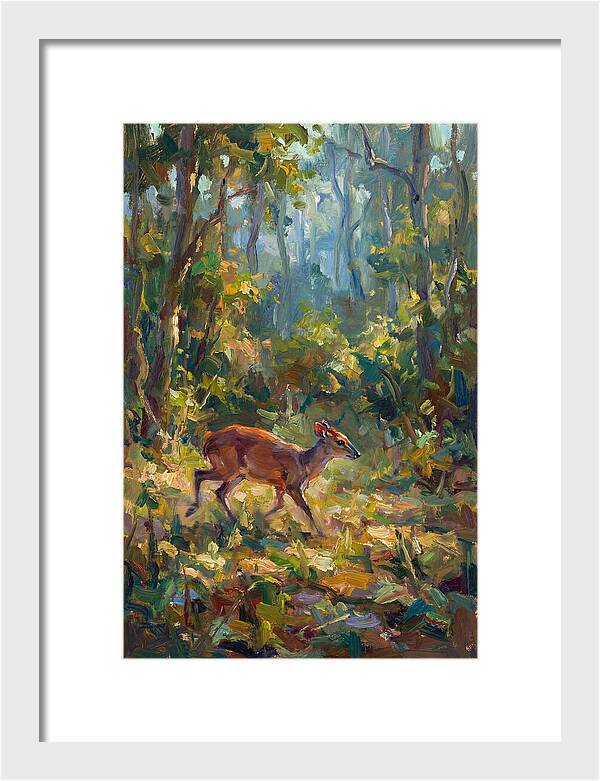 Blue Duiker In The Forest