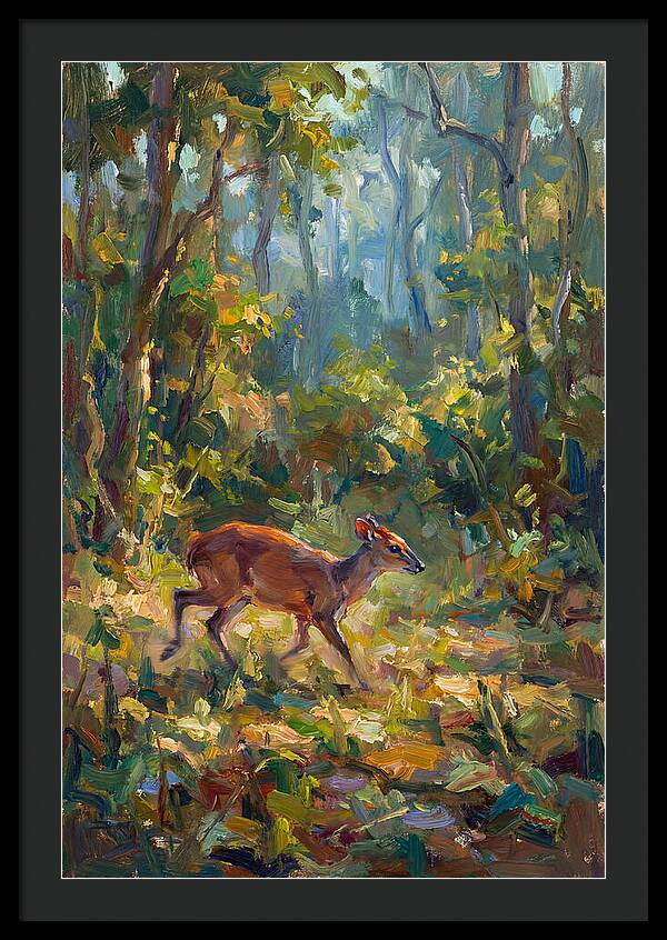 Blue Duiker In The Forest