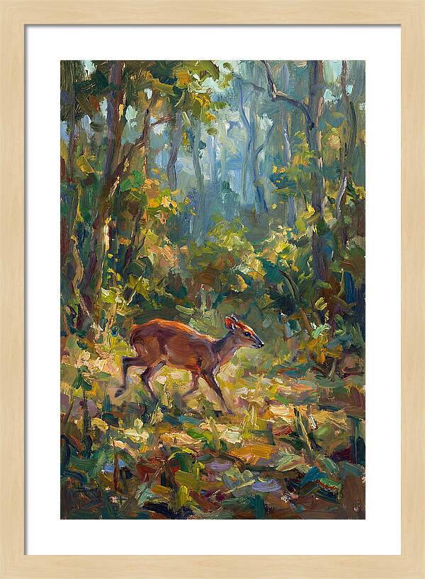 Blue Duiker In The Forest