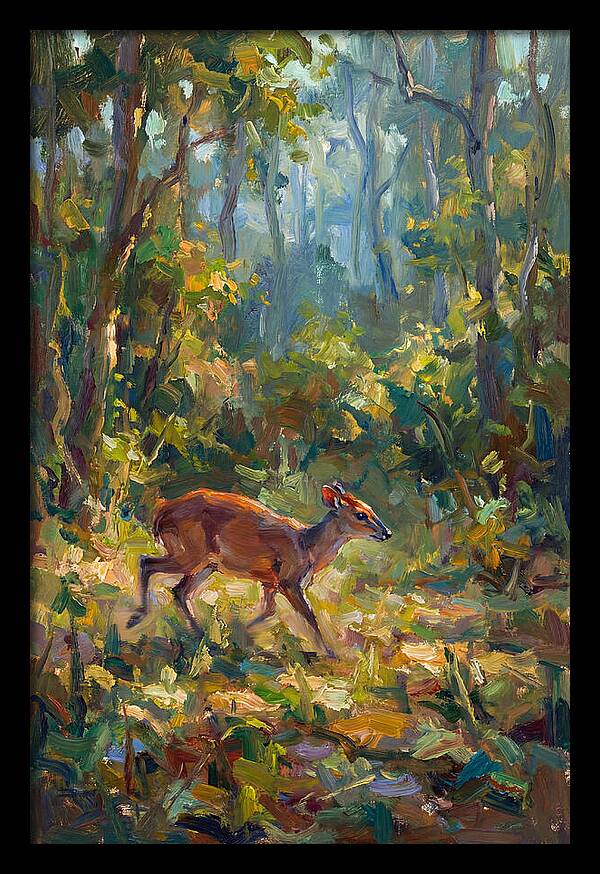 Blue Duiker In The Forest