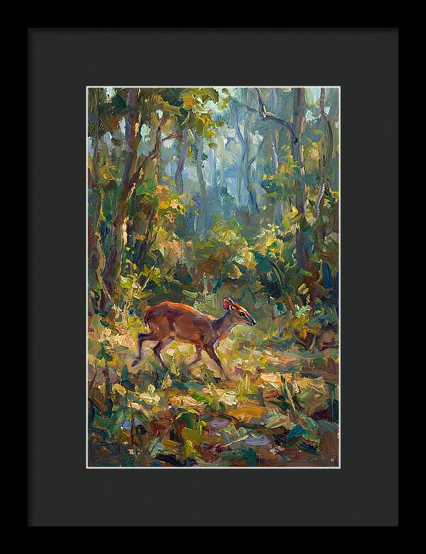 Blue Duiker In The Forest